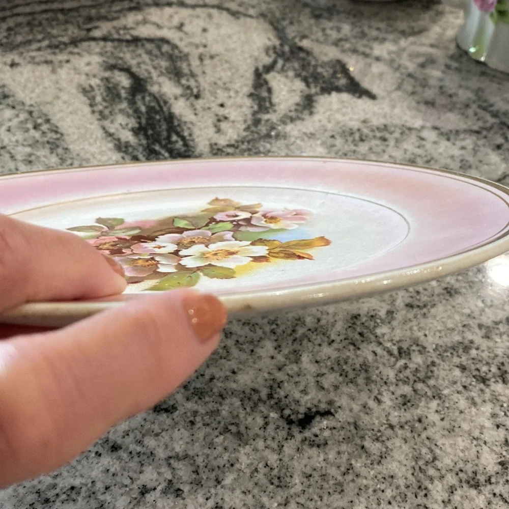 Antique Harker Pottery Co. Semi-Porcelain Wild Rose Plate c. 1890-1910!
